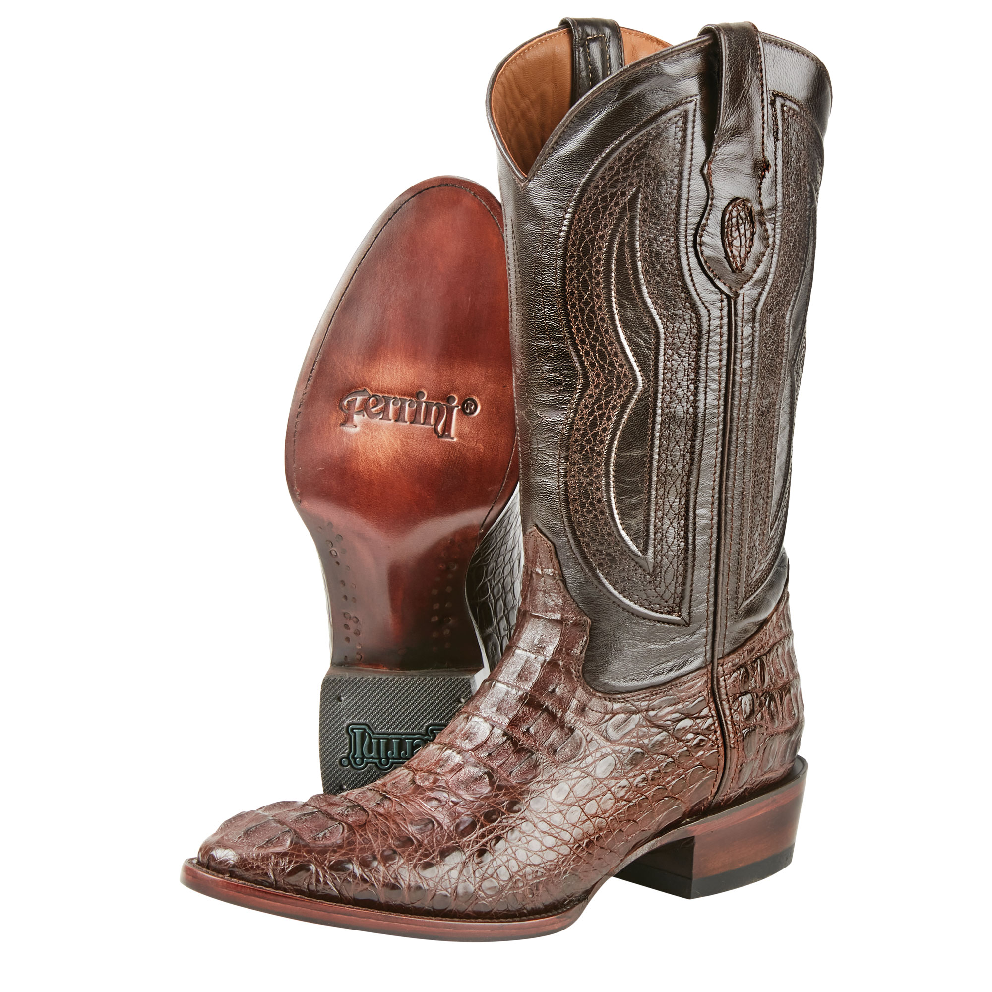 ferrini caiman boots