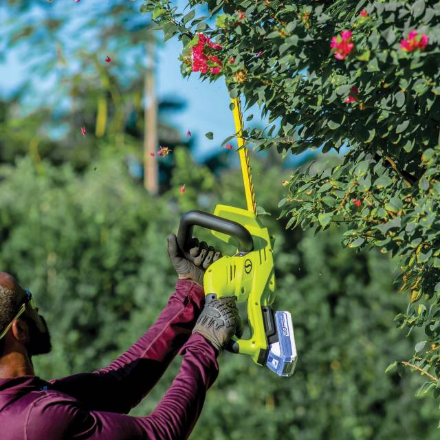 hedge trimmer