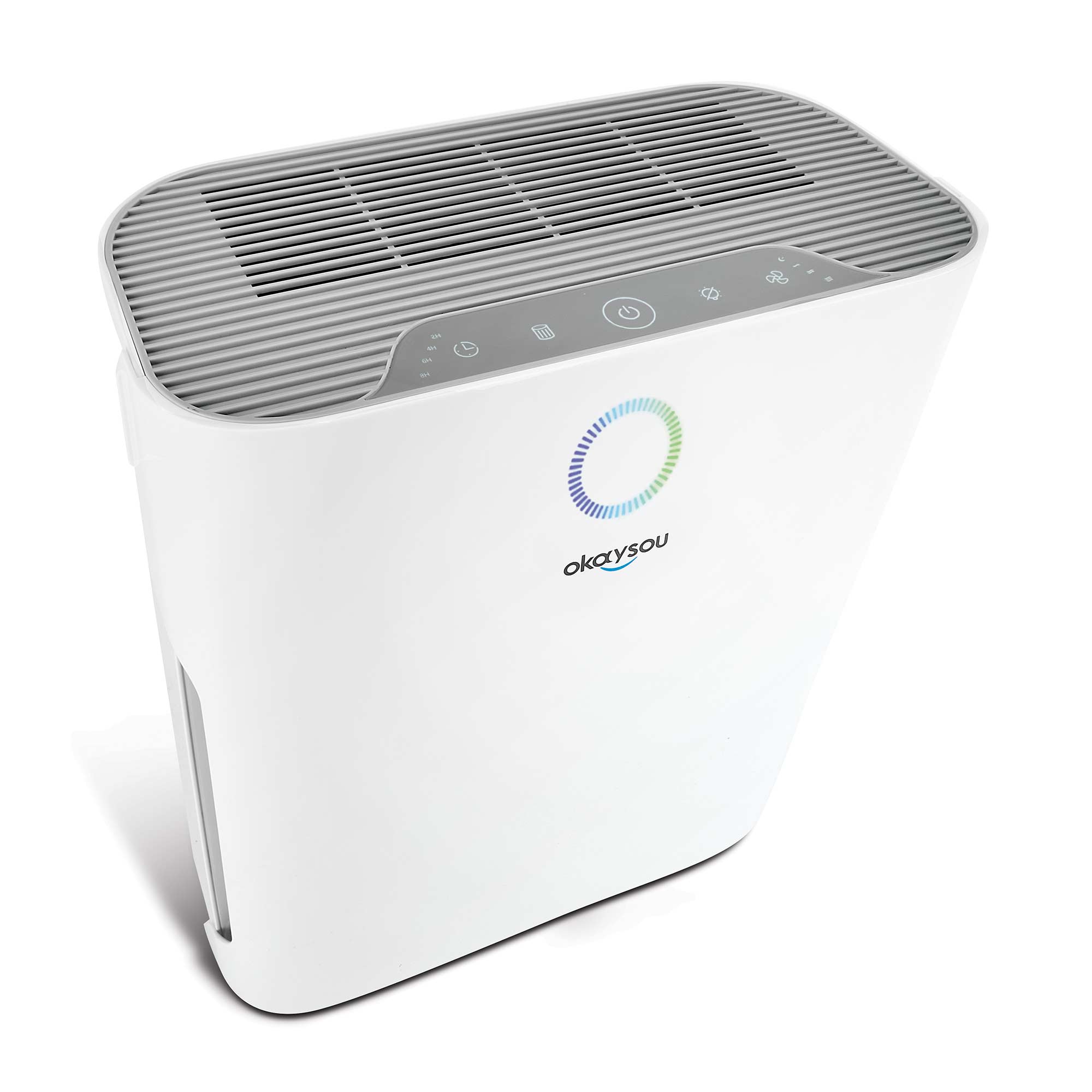 True HEPA Large Room Air Purifier