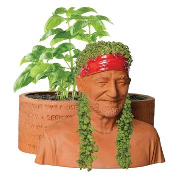 Chia Herb Garden - Willie Nelson