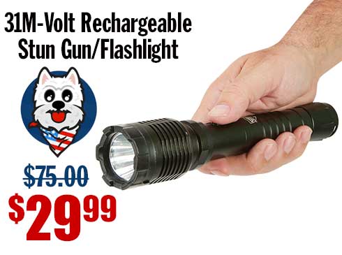 Streetwise 31M-Volt Rechargeable Stun Gun/Flashlight