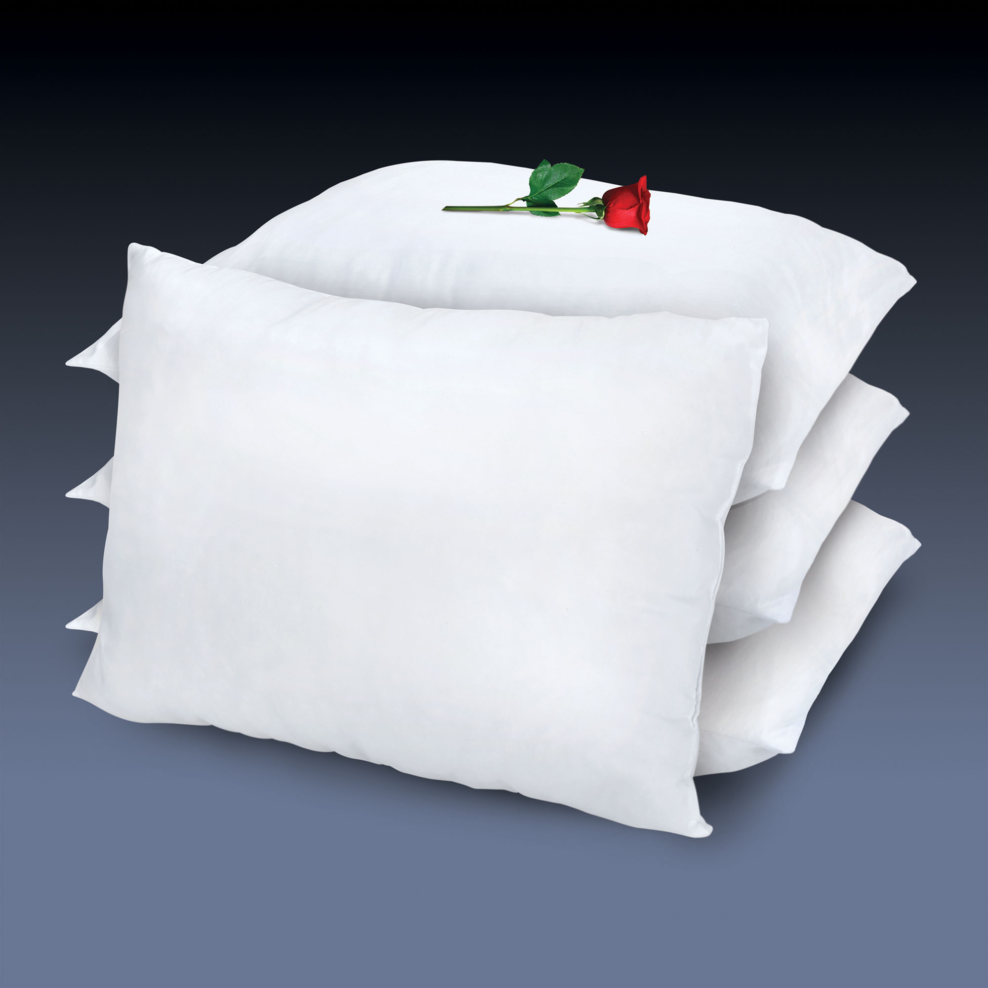 4 Pack Pillows Standard I JLJ Home Furnishings